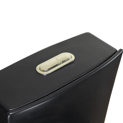 Matte Black Elongated One Piece Toilet Dual Flush 1.1/1.6 GPF Water Saving Map 1000g,Matte Black Ohberri