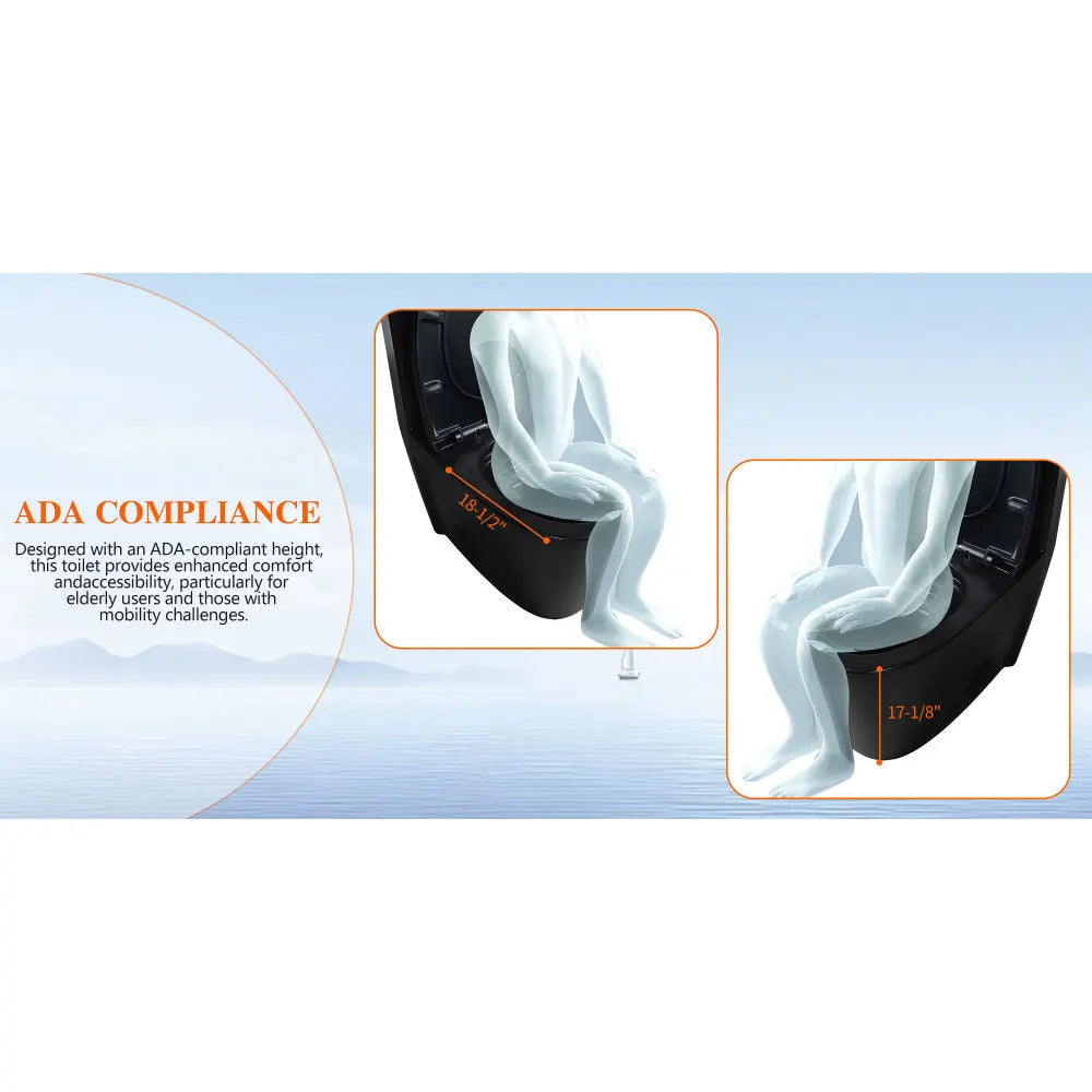 Dual-Flush, Water-Saving Elongated Ohberri