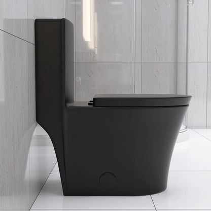 Matte Black Elongated One Piece Toilet Dual Flush 1.1/1.6 GPF Water Saving Map 1000g,Matte Black Ohberri
