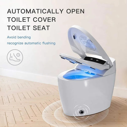 Smart Toilet, One Piece Bidet Toilet for Bathrooms, Toilets with Warm Water Sprayer & Dryer, Foot Sensor Operation, Heated Bidet Ohberri