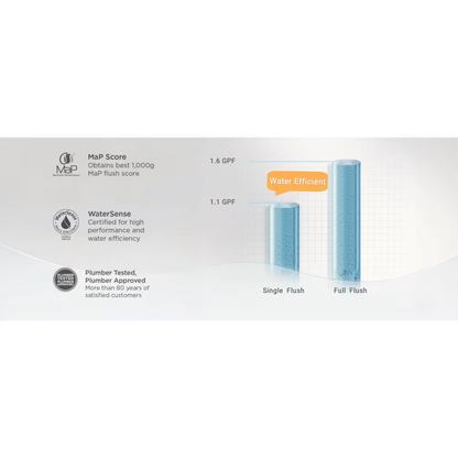 Dual-Flush One Piece Toilet, Water-Saving Elongated Ohberri