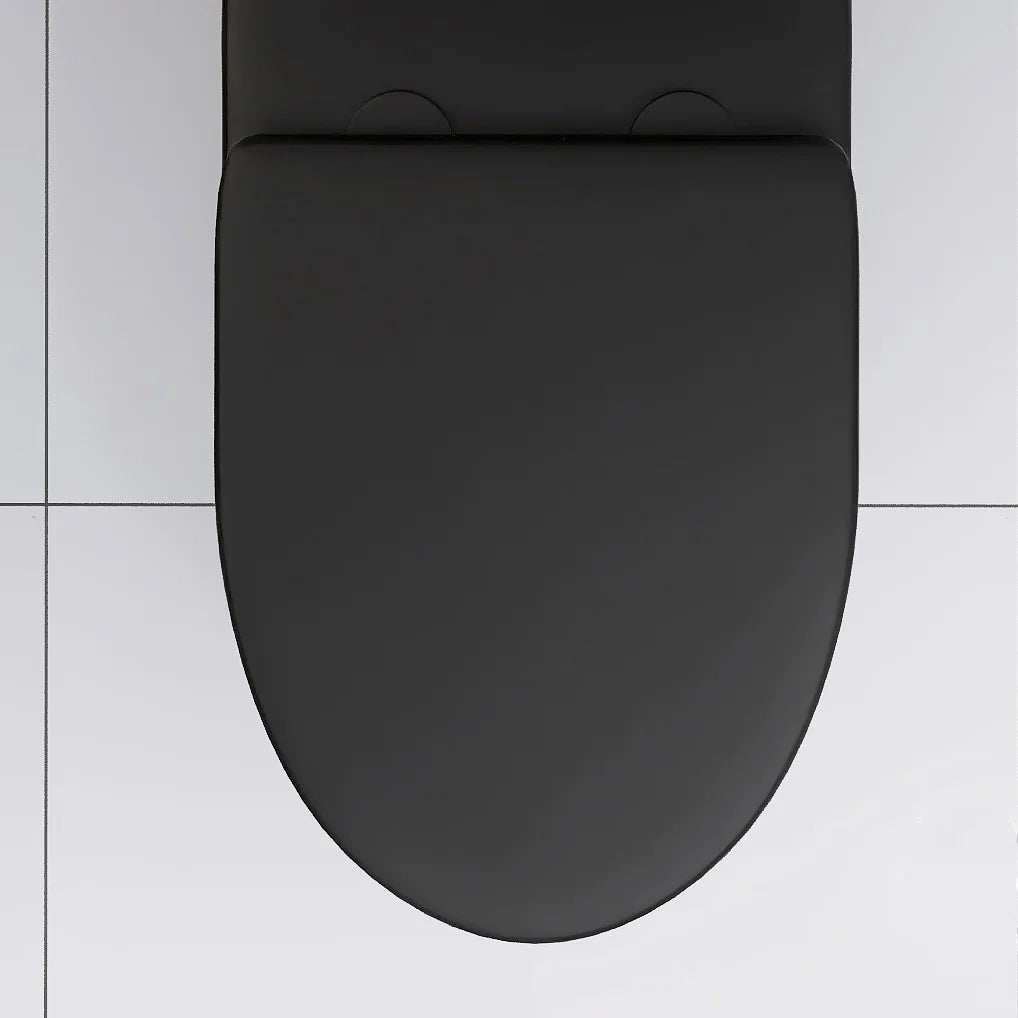 Matte Black Elongated One Piece Toilet Dual Flush 1.1/1.6 GPF Water Saving Map 1000g,Matte Black Ohberri