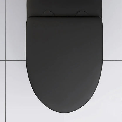 Matte Black Elongated One Piece Toilet Dual Flush 1.1/1.6 GPF Water Saving Map 1000g,Matte Black Ohberri