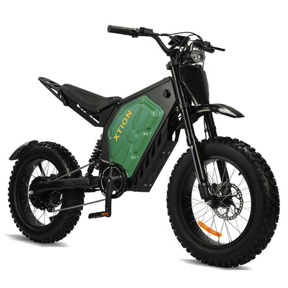 Electric Mountain Bike for Adults, 3000W E-bike , 45 MPH & 60 Miles Range Ohberri