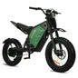 Electric Mountain Bike for Adults, 3000W E-bike , 45 MPH & 60 Miles Range Ohberri