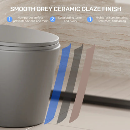 Dual-Flush One Piece Toilet, Water-Saving Elongated Ohberri