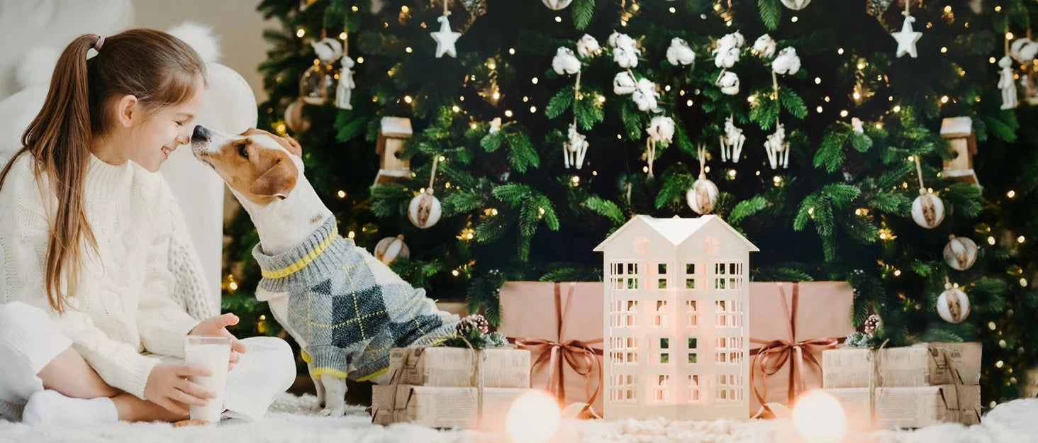 Pet Fountain, 170oz/1.3Gallon/5L Large Automatic Water Dispenser Ohberri