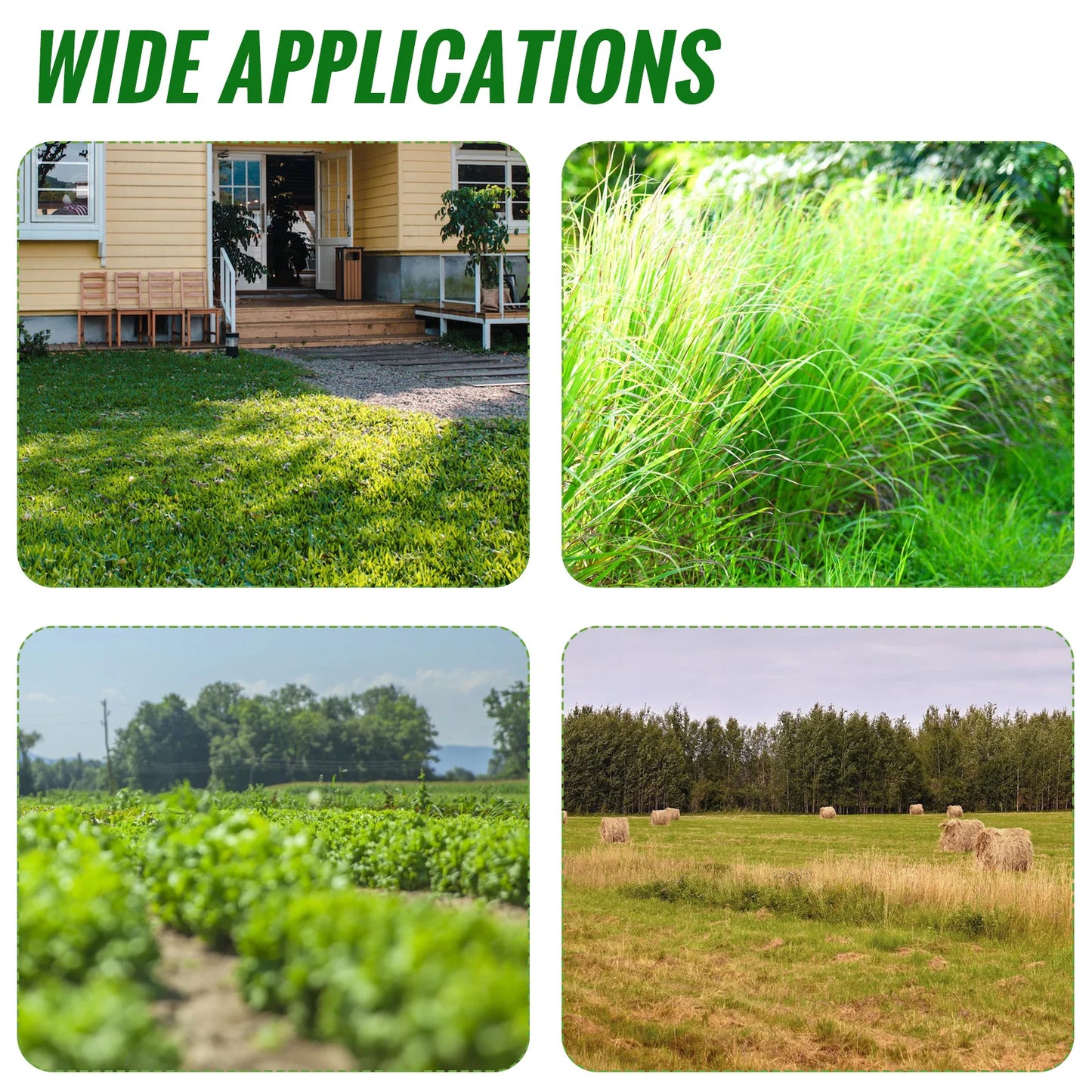 Weed Trimmer Lawn Electric Brushles 2-in-1 Cordless String Grass Trimmer Cutter Fast Charger With 2 xBattery for Yard Garden - Ohberri