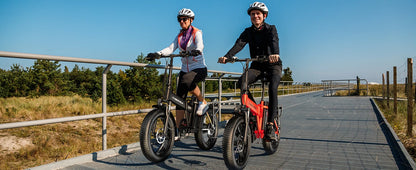 1000W Folding Electric Bike, 48V 20AH 30+MPH, 80 Miles Max Range, 20" Tire - Ohberri