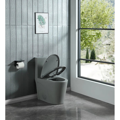 Dual-Flush One Piece Toilet, Water-Saving Elongated Ohberri