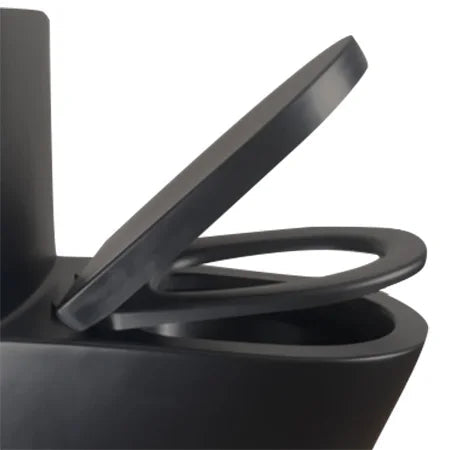 Matte Black Elongated One Piece Toilet Dual Flush 1.1/1.6 GPF Water Saving Map 1000g,Matte Black Ohberri