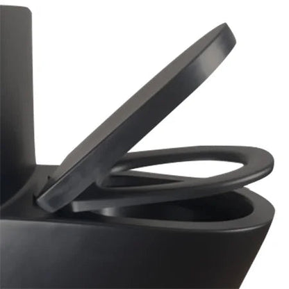 Matte Black Elongated One Piece Toilet Dual Flush 1.1/1.6 GPF Water Saving Map 1000g,Matte Black Ohberri