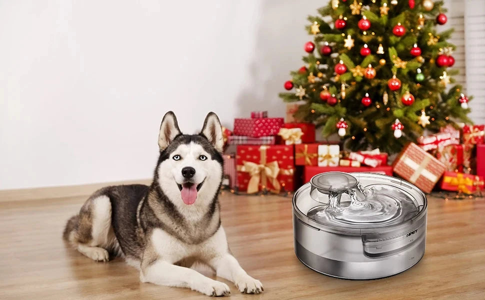 Pet Fountain, 170oz/1.3Gallon/5L Large Automatic Water Dispenser Ohberri