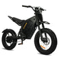 Electric Mountain Bike for Adults, 3000W E-bike , 45 MPH & 60 Miles Range Ohberri
