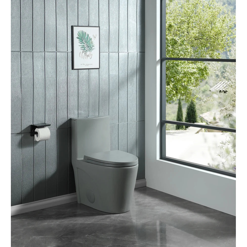 Dual-Flush One Piece Toilet, Water-Saving Elongated Ohberri