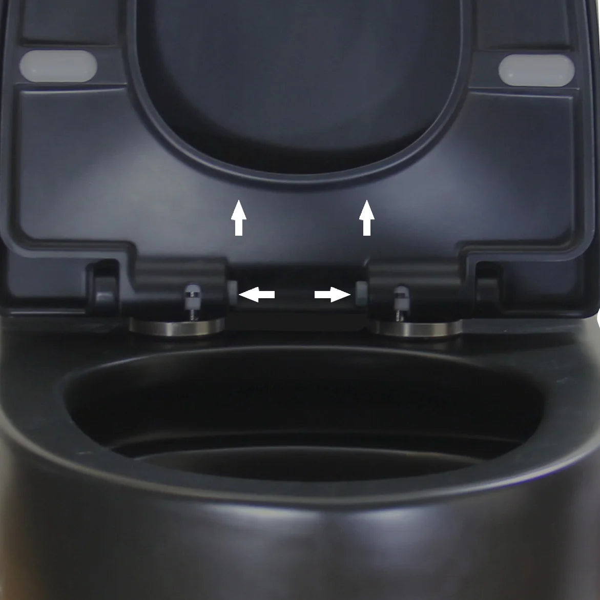 Matte Black Elongated One Piece Toilet Dual Flush 1.1/1.6 GPF Water Saving Map 1000g,Matte Black Ohberri