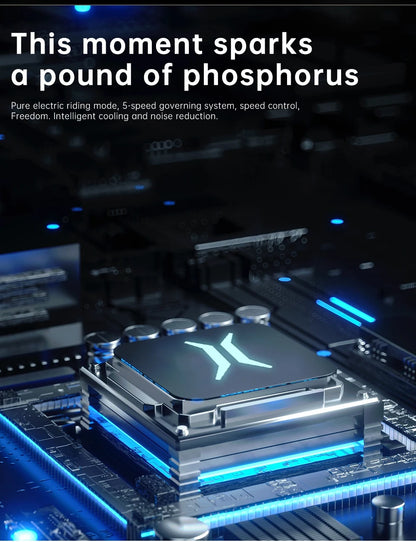 Electric Bike 2000W 48V35AH 55km/h 20“*4.0 Off Road Mountain Ebike - Ohberri