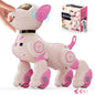 Robot Dog Toy for Kids Voice 2.4GHz Remote Control Robot Pet Touch Sensor 20+ Mode Ohberri