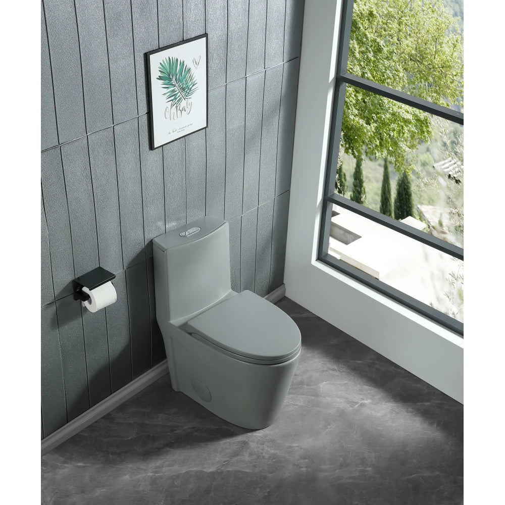 Dual-Flush One Piece Toilet, Water-Saving Elongated Ohberri