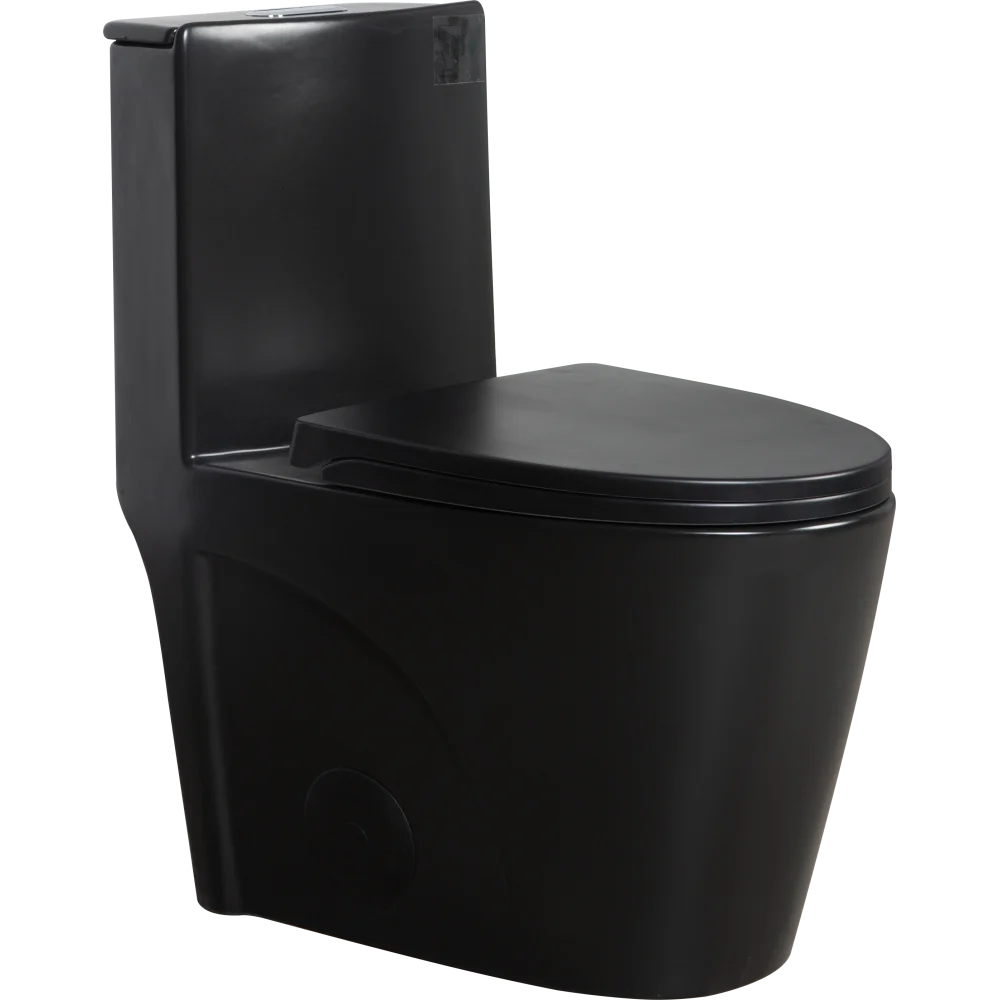 Dual-Flush, Water-Saving Elongated Ohberri