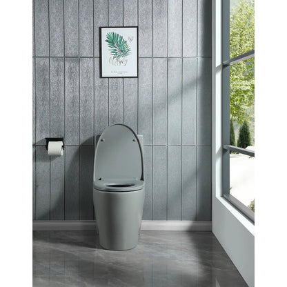 Dual-Flush One Piece Toilet, Water-Saving Elongated Ohberri