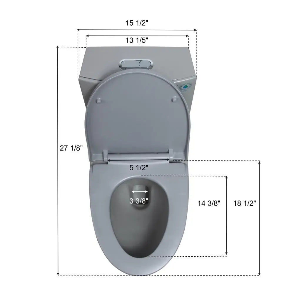 Dual-Flush One Piece Toilet, Water-Saving Elongated Ohberri