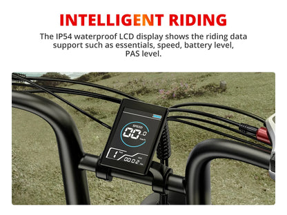 Electric Bike 2000W Dual Motor 48V 25AH Battery 20" - Ohberri