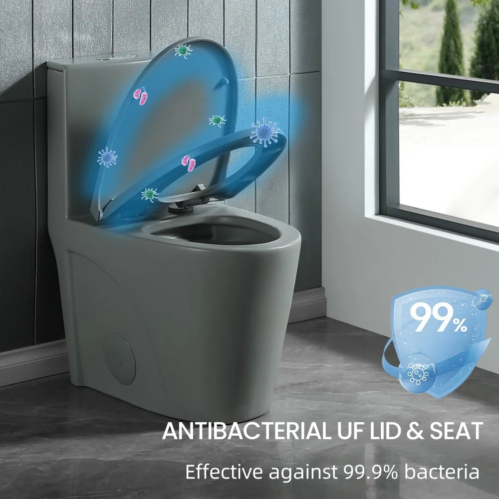 Dual-Flush One Piece Toilet, Water-Saving Elongated Ohberri