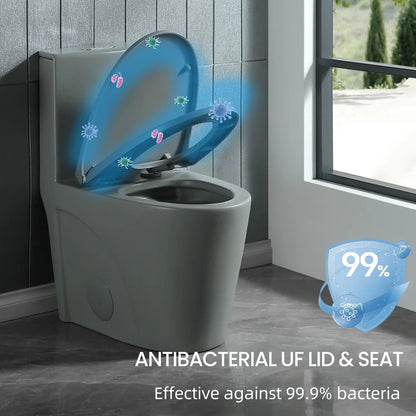 Dual-Flush One Piece Toilet, Water-Saving Elongated Ohberri