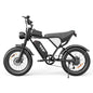 Electric Bicycle 2000W Dual Motor 52V40AH Dual Battery  55KM/H - Ohberri