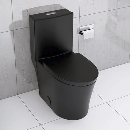 Matte Black Elongated One Piece Toilet Dual Flush 1.1/1.6 GPF Water Saving Map 1000g,Matte Black Ohberri