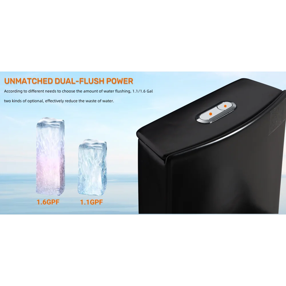 Dual-Flush, Water-Saving Elongated Ohberri