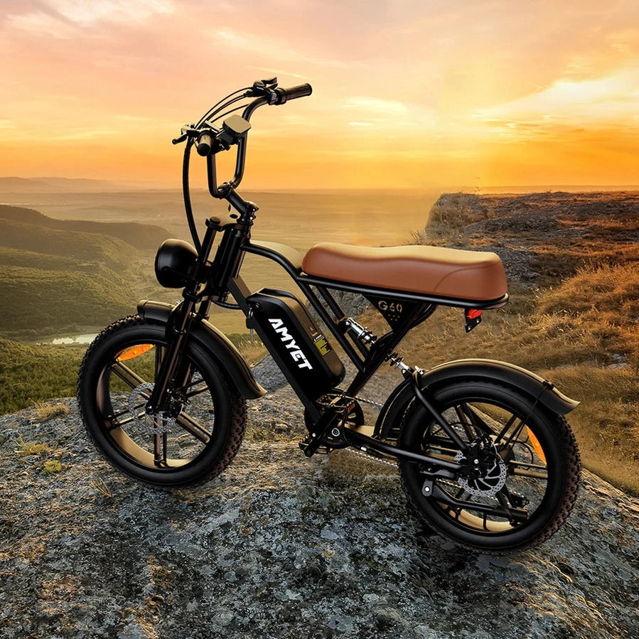 Electric Bike 1000W Motor 48V 20AH 20“ Tire - Ohberri