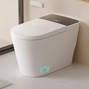Smart Toilet with Bidet Built in, ADA Height Toilet bidet with Foam Shield, tankless Toilet Ohberri