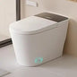 Smart Toilet with Bidet Built in, ADA Height Toilet bidet with Foam Shield, tankless Toilet Ohberri