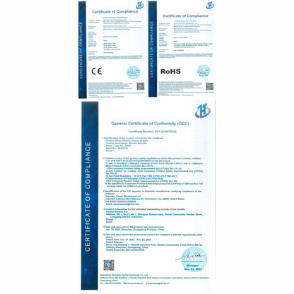 Electric Bike 1000W Motor 48V 20AH 20“ Tire - Ohberri