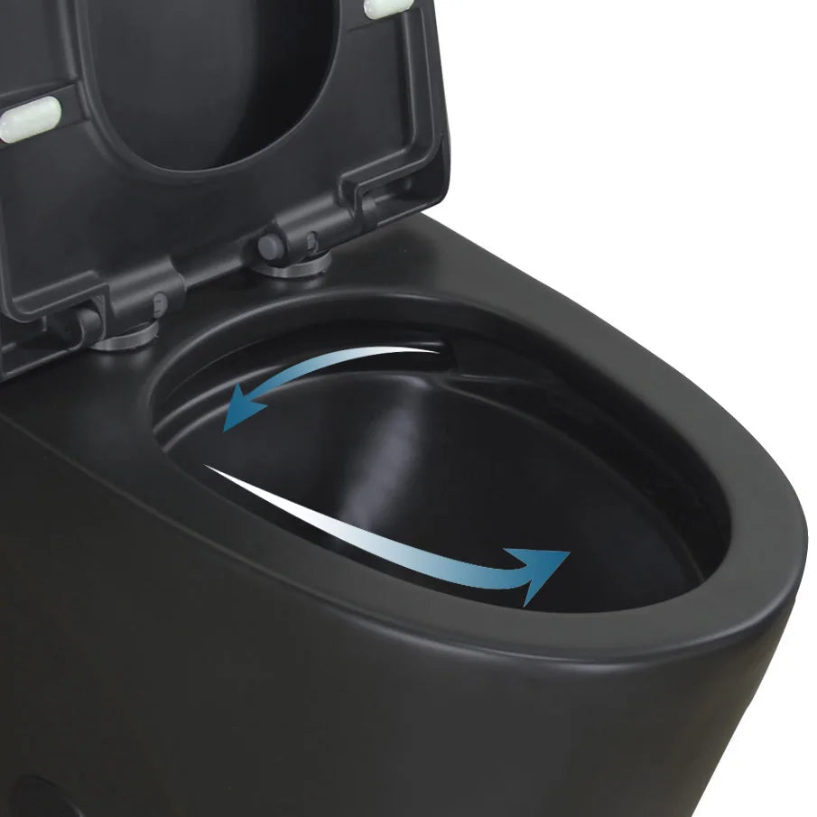 Matte Black Elongated One Piece Toilet Dual Flush 1.1/1.6 GPF Water Saving Map 1000g,Matte Black Ohberri
