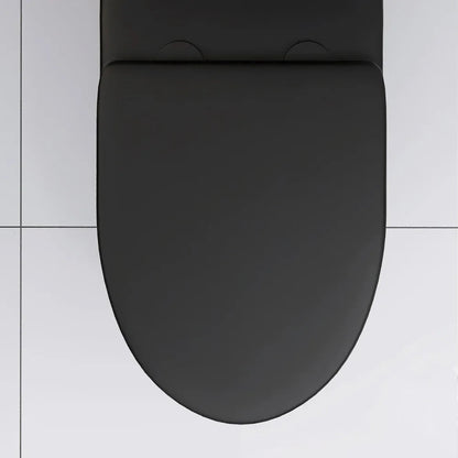 Matte Black Elongated One Piece Toilet Dual Flush 1.1/1.6 GPF Water Saving Map 1000g,Matte Black Ohberri