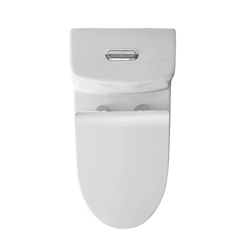 Dual Flush Floor Mounted One-Piece Toilet with Soft-Close Seat In Glossy White Ohberri