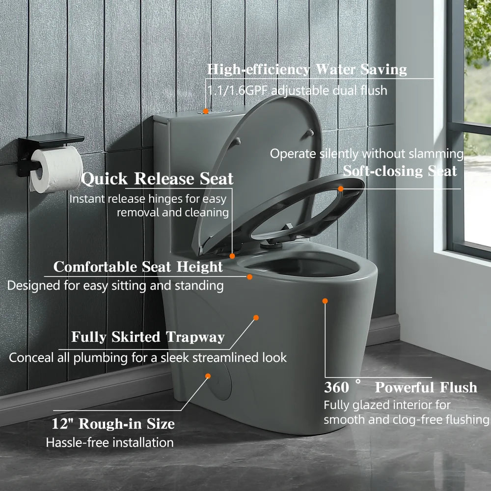 Dual-Flush One Piece Toilet, Water-Saving Elongated Ohberri
