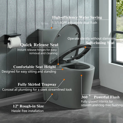 Dual-Flush One Piece Toilet, Water-Saving Elongated Ohberri