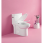 1.28 GPF Single-flush One Piece Toilet, Water-Saving Elongated Ohberri