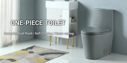 Dual-Flush One Piece Toilet, Water-Saving Elongated Ohberri