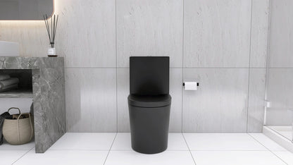 Matte Black Elongated One Piece Toilet Dual Flush 1.1/1.6 GPF Water Saving Map 1000g,Matte Black Ohberri