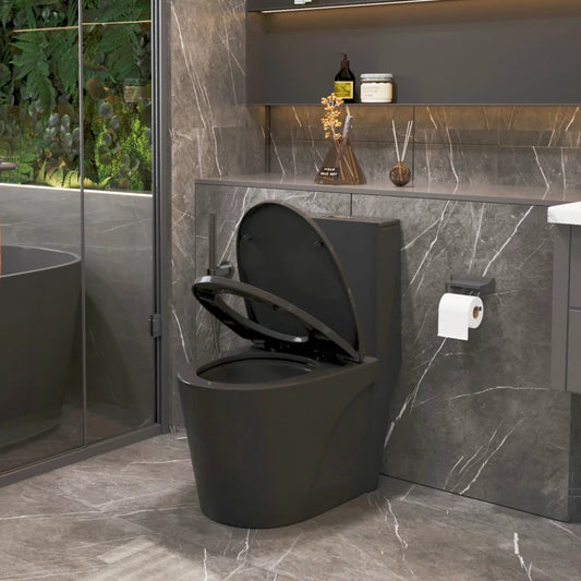 Dual-Flush, Water-Saving Elongated Ohberri
