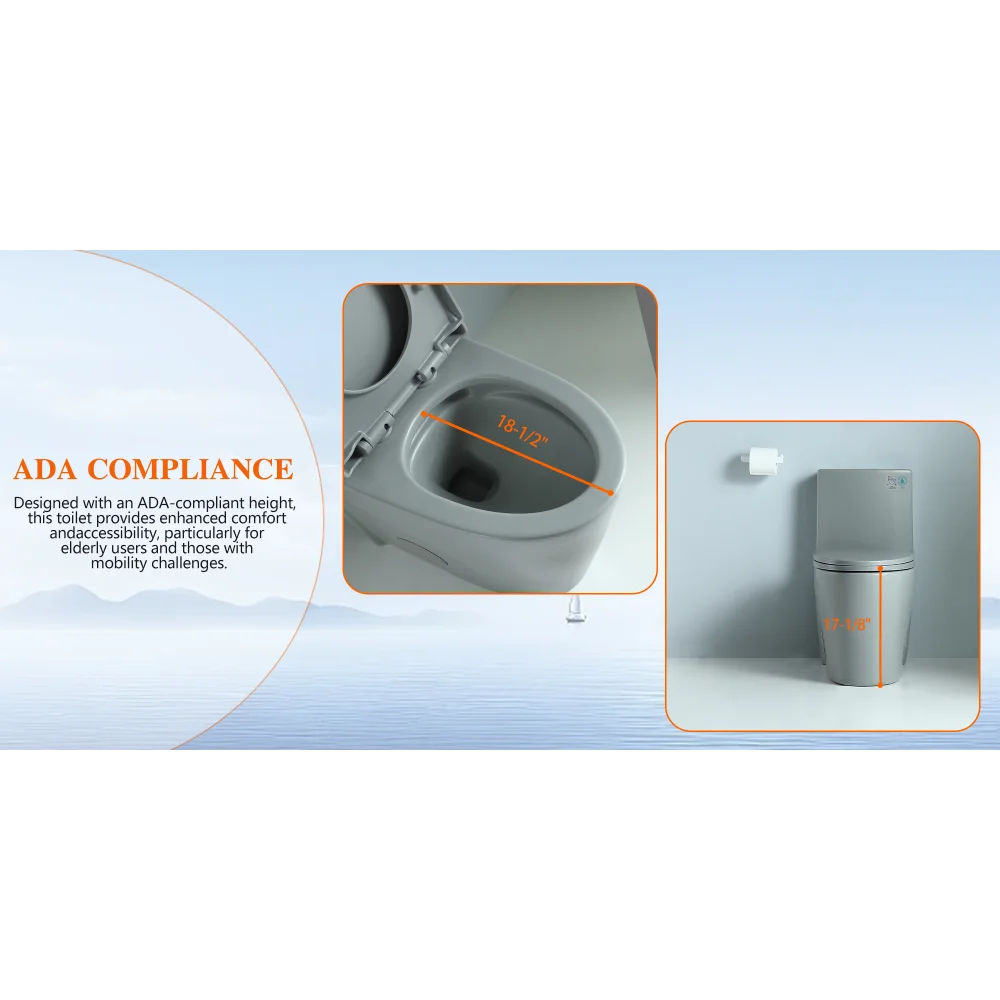 Dual-Flush One Piece Toilet, Water-Saving Elongated Ohberri