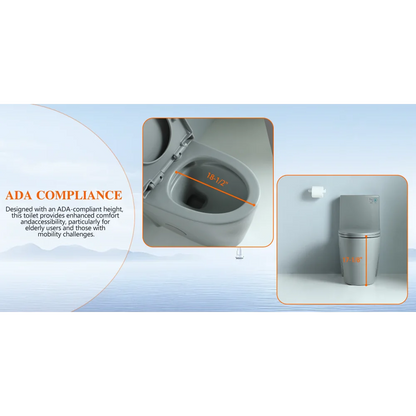 Dual-Flush One Piece Toilet, Water-Saving Elongated Ohberri