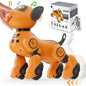 Robot Dog Toy for Kids Voice 2.4GHz Remote Control Robot Pet Touch Sensor 20+ Mode Ohberri