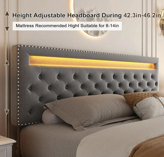 Bed Frame with 4 Storage Drawers, with Smart Control RGBW LED Lights Headboard Footboard, Control DIY Color, Box Sprin - Ohberri