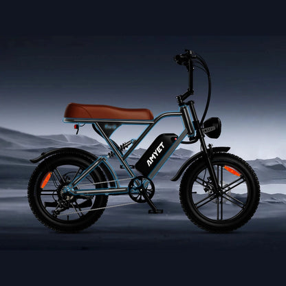 Electric Bike 1000W Motor 48V 20AH 20“ Tire - Ohberri